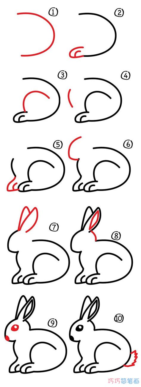 兔子簡單畫法